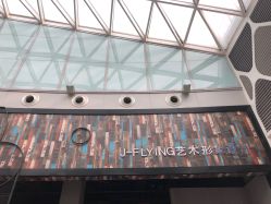 -J-Flying艺术形象设计