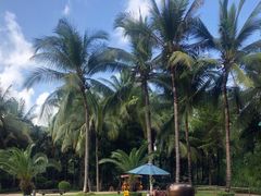 -三亚湾海居铂尔曼度假酒店