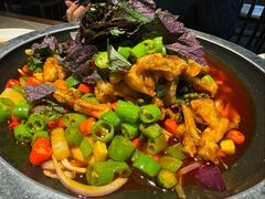 -新渝城·川菜·火锅(区庄店)