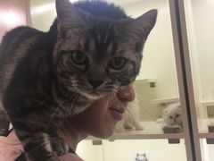 -十年猫舍·猫咪专门店(普陀店)