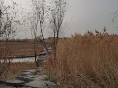 -绿堤公园