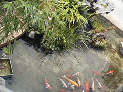 -道南書院·私房菜·早午茶·茶馆