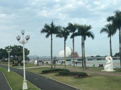 -野狸岛