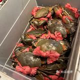 😻風味十足😋