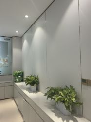 -禾丽康美医疗美容医院