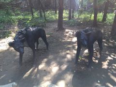 -北京周口店北京人遗址博物馆