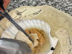 -震海贝烤贝·民俗特色店(延吉总店)