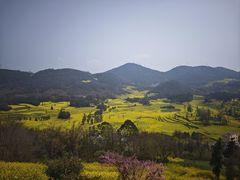 -牛街螺丝田