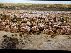 -中影荟星激光影城(西丽店)