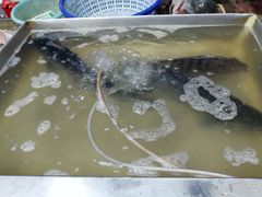 -金鸡岭农贸市场