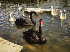 -鄂尔多斯野生动物园