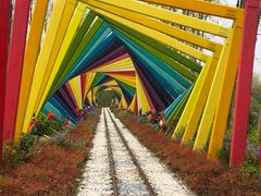 -合肥滨湖国家森林公园