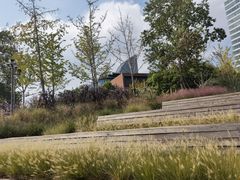 -丹东路渡口(轮渡站)