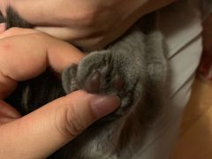 -北京博爱动物医院有限公司