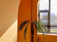 -HUATA 'Holiday Plan 花榻