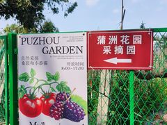 -南沙蒲洲花园