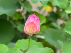 -成都杜甫草堂博物馆