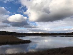 -塞罕坝国家级自然保护区