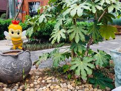 -威海天沐温泉度假区