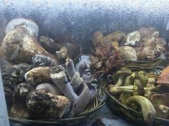 iphone_upload_pic-江川野生菌火锅铜锅鱼(贵清火锅店)