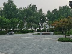 -莲花池公园