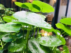 -外婆船宴餐厅·外婆喊你回家吃饭