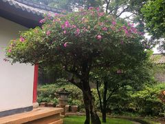 -木府