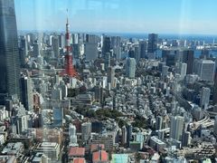 -六本木新城展望台(东京城市景观)