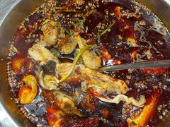 -大拿渔火锅(万豪白领富贵西园店)