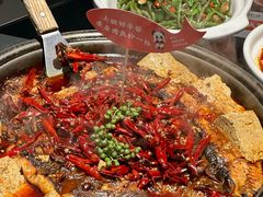 -辣尚瘾·烤鱼·新川菜(牡丹园直营店)