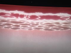 -卢米埃影城(苏州园区华润杜比全景声激光店)