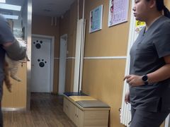 -中农大我爱我爱24h动物医院·中医针灸·猫专科·骨科医疗中心(双井店)