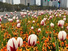 -中南南通体育会展中心