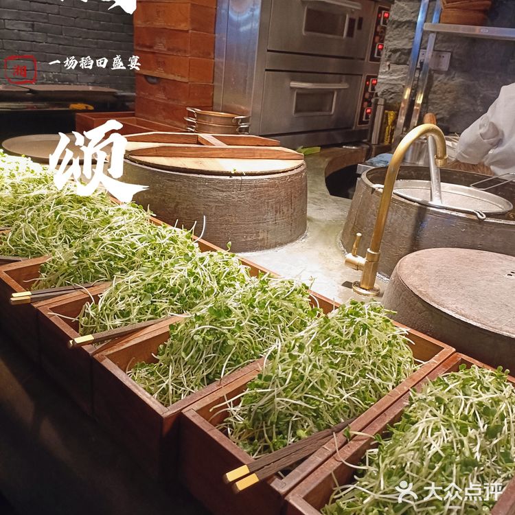 传承水谷之精，生动湘聚