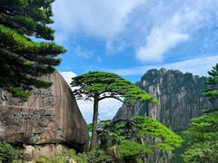 -黄山风景区