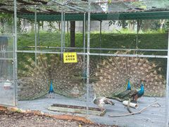 -福建鲤鱼洲酒店