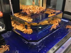 -蟹道乐(道顿堀本店)