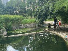 -成都市活水公园