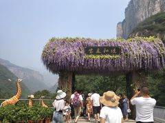 -河南宝泉旅游区