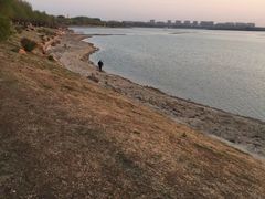 -丁香湖公园