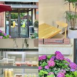 东莞绣球花野餐下午茶