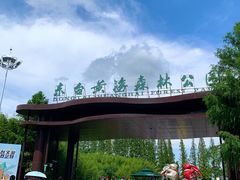 -黄海国家森林公园