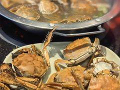 -韩盛炭火烤肉(万达广场店)