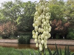 -元大都城垣遗址公园