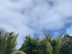 -深圳湾公园(南山区)
