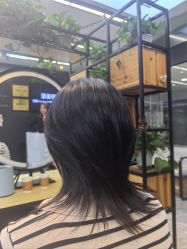 -藤野造型