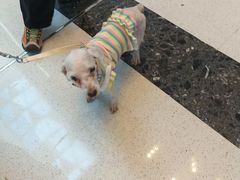 -万达广场(龙湖店)