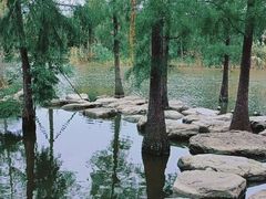 -上海长兴岛郊野公园