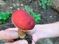 -碓臼峪自然风景区