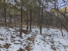 -北京西山国家森林公园